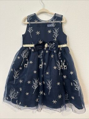 Blue Girls' Navy Embroidered Holiday Dress with Gold Accents